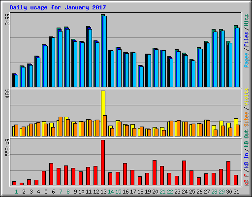 Daily usage for January 2017