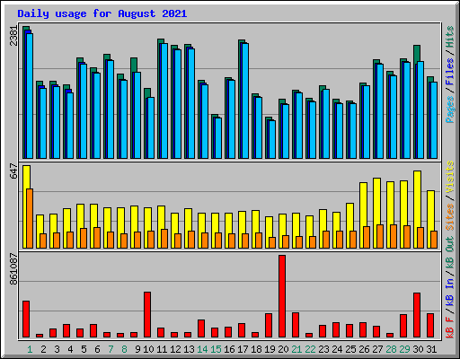 Daily usage for August 2021