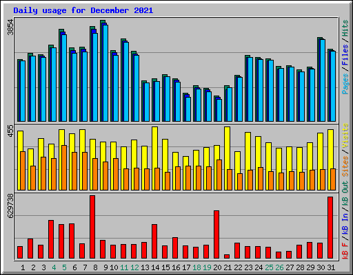 Daily usage for December 2021