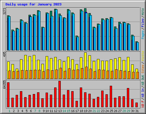 Daily usage for January 2023