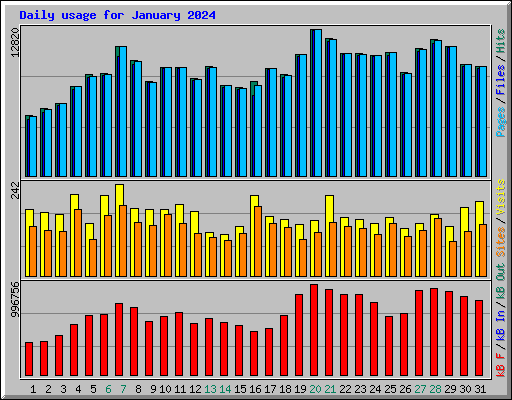 Daily usage for January 2024