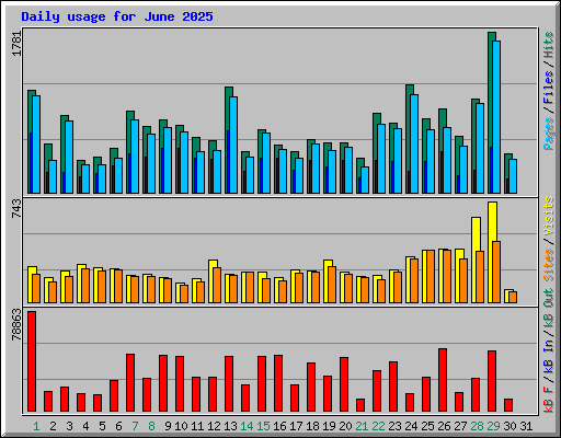 Daily usage for June 2025
