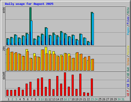 Daily usage for August 2025