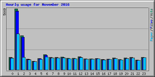 Hourly usage for November 2016