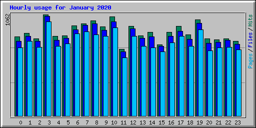 Hourly usage for January 2020