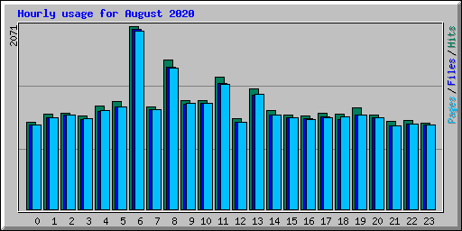 Hourly usage for August 2020