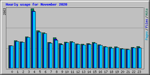 Hourly usage for November 2020