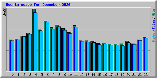 Hourly usage for December 2020