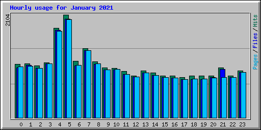 Hourly usage for January 2021