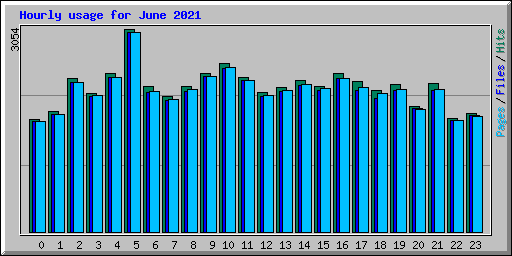 Hourly usage for June 2021