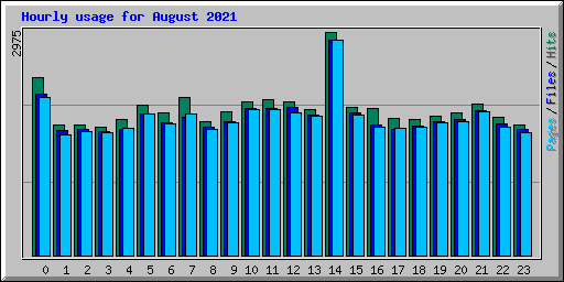 Hourly usage for August 2021