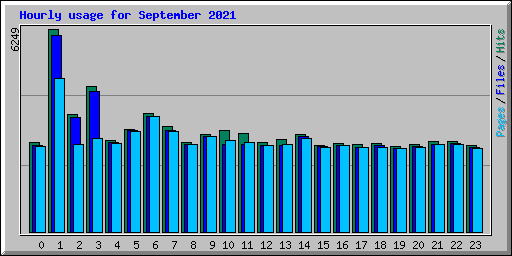 Hourly usage for September 2021