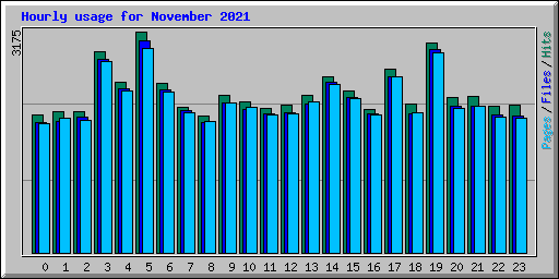 Hourly usage for November 2021