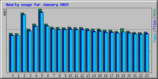 Hourly usage for January 2022