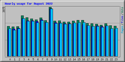 Hourly usage for August 2022