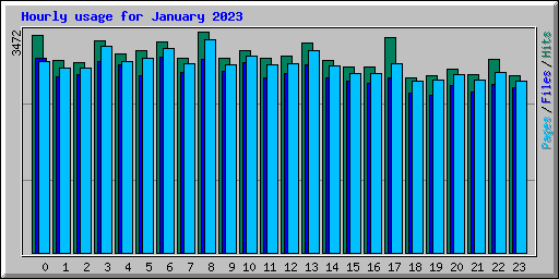 Hourly usage for January 2023