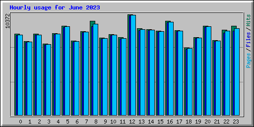 Hourly usage for June 2023