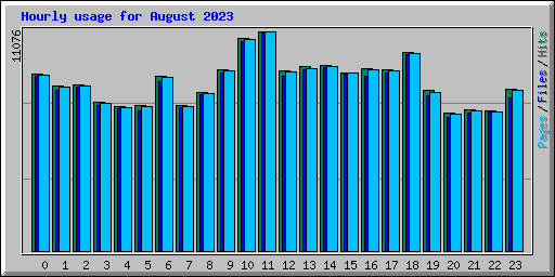 Hourly usage for August 2023