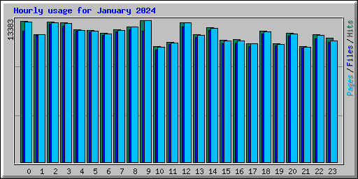 Hourly usage for January 2024