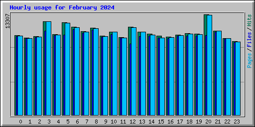 Hourly usage for February 2024