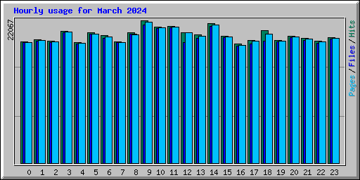 Hourly usage for March 2024