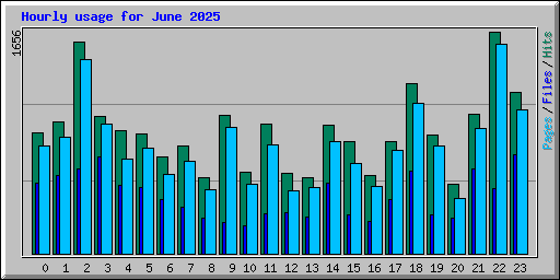 Hourly usage for June 2025