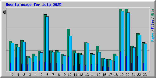 Hourly usage for July 2025