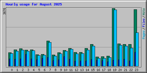 Hourly usage for August 2025