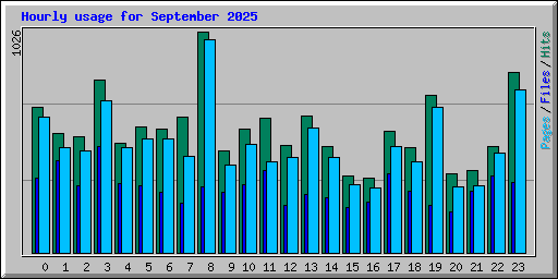 Hourly usage for September 2025