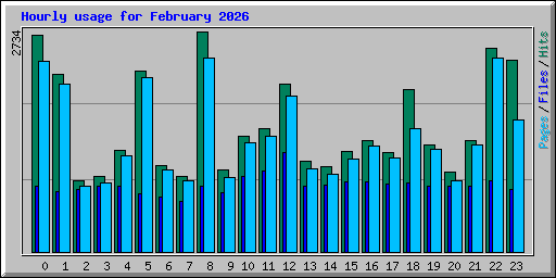 Hourly usage for February 2026